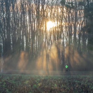 202101 Lumière du Soleil sur un coureur