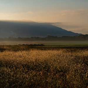 202109 Levé du Soleil sur la campagne Choulésienne