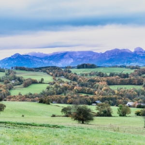 202110 Couleurs d'automne derrière le Salève