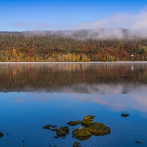 202110 Reflet d'automne sur le Lac de Joux